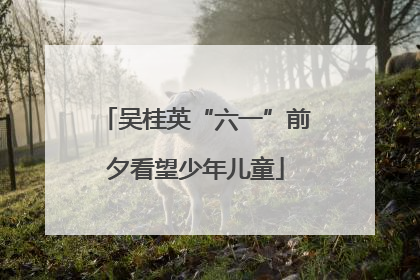 吴桂英“六一”前夕看望少年儿童