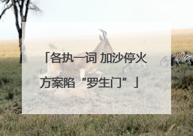 各执一词 加沙停火方案陷“罗生门”