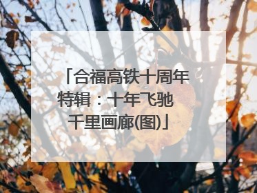 合福高铁十周年特辑：十年飞驰 千里画廊(图)