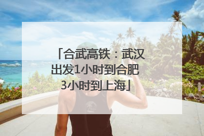合武高铁：武汉出发1小时到合肥3小时到上海
