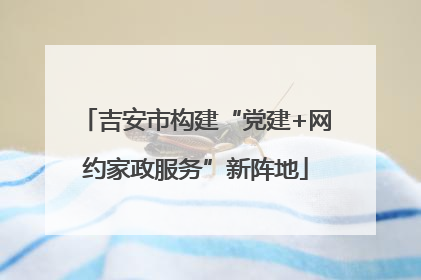吉安市构建“党建+网约家政服务”新阵地