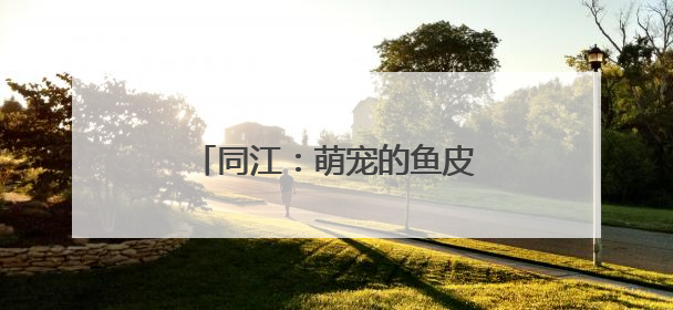 同江：萌宠的鱼皮新装刷屏！非遗技艺与“萌态跨界”
