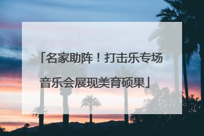 名家助阵！打击乐专场音乐会展现美育硕果