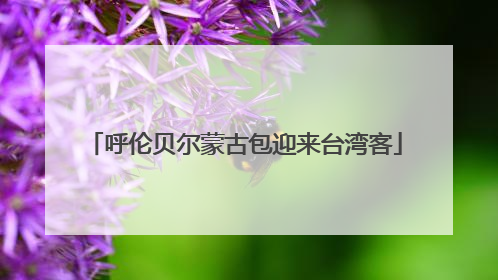 呼伦贝尔蒙古包迎来台湾客