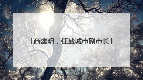 商建明，任盐城市副市长