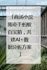 商汤小浣熊牵手蚂蚁百宝箱，共建AI+数据分析方案