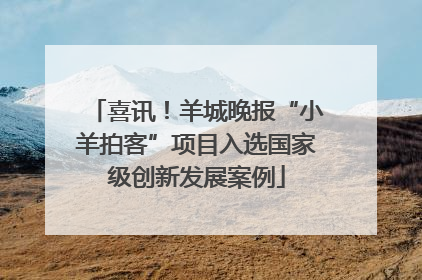 喜讯！羊城晚报“小羊拍客”项目入选国家级创新发展案例