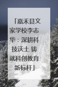 嘉禾县文家学校李志华：深耕科技沃土 铸就科创教育新标杆