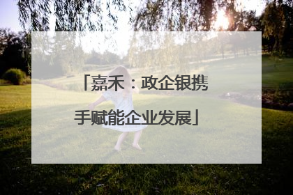 嘉禾：政企银携手赋能企业发展