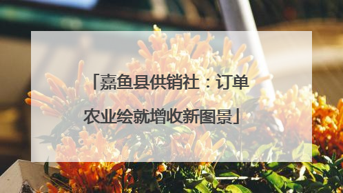 嘉鱼县供销社：订单农业绘就增收新图景