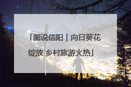 图说信阳｜向日葵花绽放 乡村旅游火热