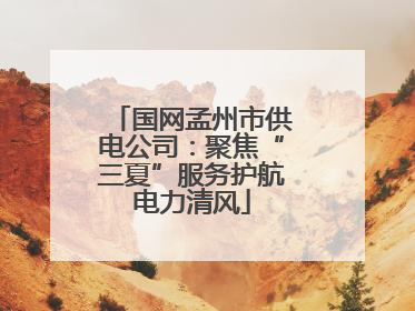国网孟州市供电公司：聚焦“三夏”服务护航电力清风