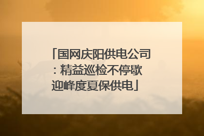 国网庆阳供电公司：精益巡检不停歇 迎峰度夏保供电