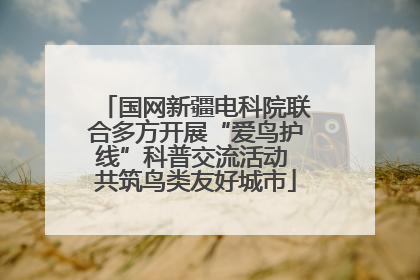 国网新疆电科院联合多方开展“爱鸟护线”科普交流活动 共筑鸟类友好城市