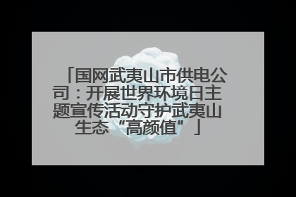 国网武夷山市供电公司：开展世界环境日主题宣传活动守护武夷山生态“高颜值”