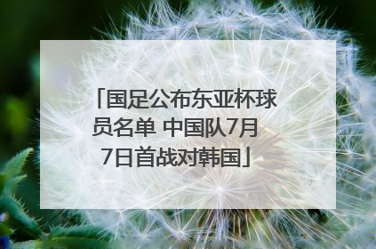国足公布东亚杯球员名单 中国队7月7日首战对韩国