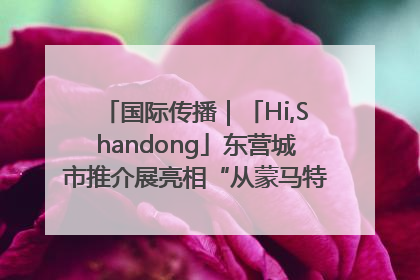国际传播｜「Hi,Shandong」东营城市推介展亮相“从蒙马特到加里波第”文化节