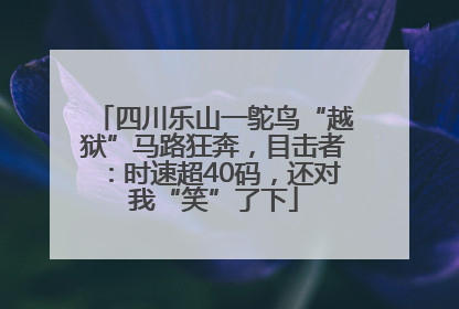四川乐山一鸵鸟“越狱”马路狂奔，目击者：时速超40码，还对我“笑”了下