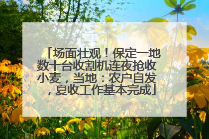 场面壮观！保定一地数十台收割机连夜抢收小麦，当地：农户自发，夏收工作基本完成