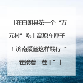 在白朗县第一个“万元村”吃上高原车厘子！济南援藏这样践行“一茬接着一茬干”