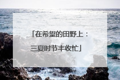 在希望的田野上：三夏时节丰收忙