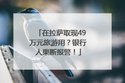 在拉萨取现49万元旅游用？银行人果断报警！