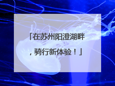 在苏州阳澄湖畔，骑行新体验！