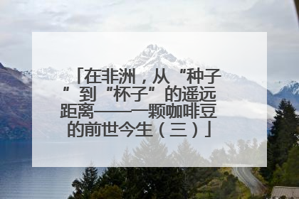 在非洲，从“种子”到“杯子”的遥远距离——一颗咖啡豆的前世今生（三）