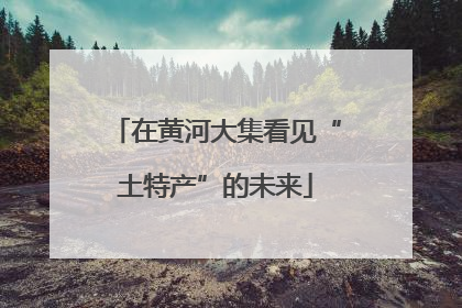 在黄河大集看见“土特产”的未来