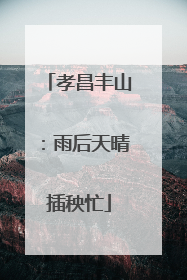 孝昌丰山：雨后天晴插秧忙
