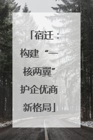 宿迁：构建“一核两翼”护企优商新格局