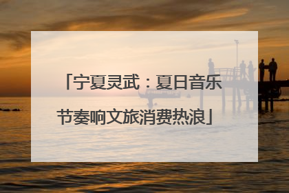 宁夏灵武：夏日音乐节奏响文旅消费热浪