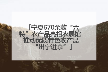 宁夏670余款“六特”农产品亮相农展馆 推动优质特色农产品“出宁进京”