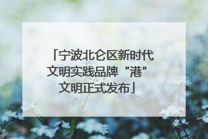 宁波北仑区新时代文明实践品牌“港”文明正式发布
