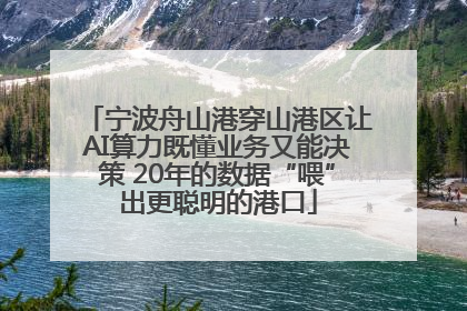 宁波舟山港穿山港区让AI算力既懂业务又能决策 20年的数据“喂”出更聪明的港口