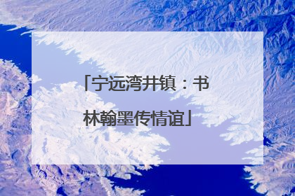 宁远湾井镇：书林翰墨传情谊