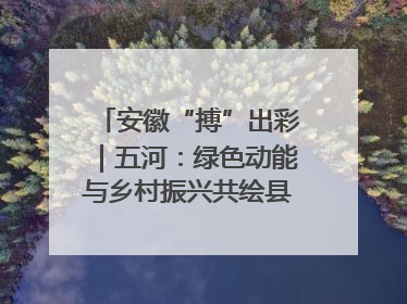 安徽“搏”出彩｜五河：绿色动能与乡村振兴共绘县域发展新图景