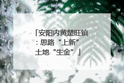 安阳内黄楚旺镇：思路“上新” 土地“生金”