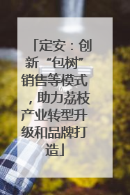 定安：创新“包树”销售等模式，助力荔枝产业转型升级和品牌打造