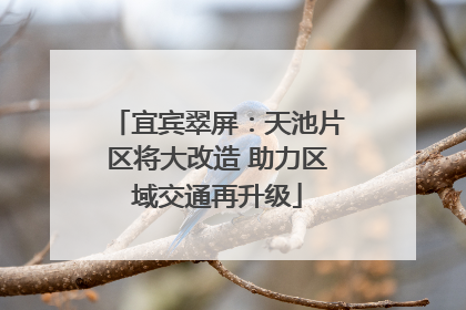 宜宾翠屏：天池片区将大改造 助力区域交通再升级