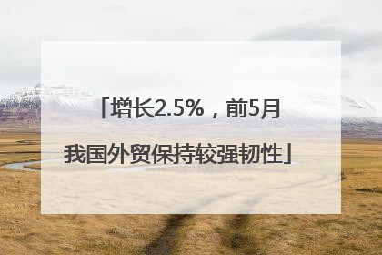 增长2.5%，前5月我国外贸保持较强韧性