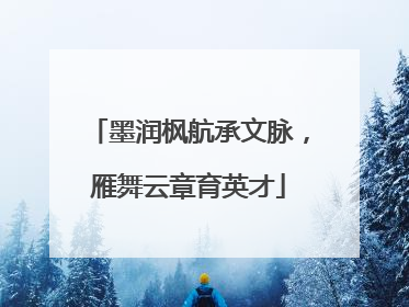 墨润枫航承文脉，雁舞云章育英才