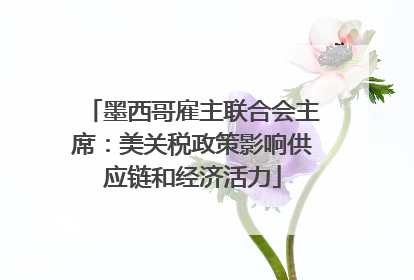 墨西哥雇主联合会主席：美关税政策影响供应链和经济活力