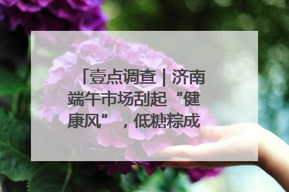 壹点调查｜济南端午市场刮起“健康风”，低糖粽成消费者“新宠”