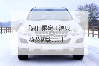 夏日限定！温县荷花初绽……