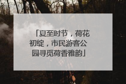 夏至时节，荷花初绽，市民游客公园寻觅荷香雅韵