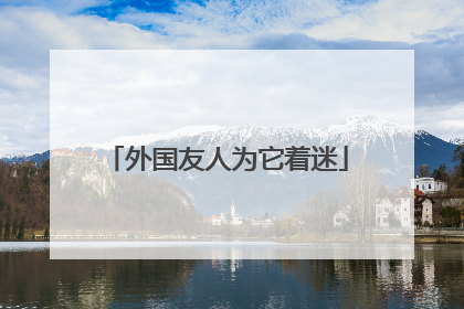 外国友人为它着迷