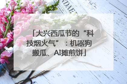 大兴西瓜节的“科技烟火气”：机器狗搬瓜、AI摊煎饼