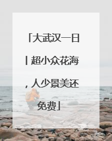 大武汉一日丨超小众花海，人少景美还免费