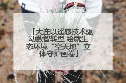 大连以遥感技术驱动数智转型 绘就生态环境“空天地”立体守护画卷